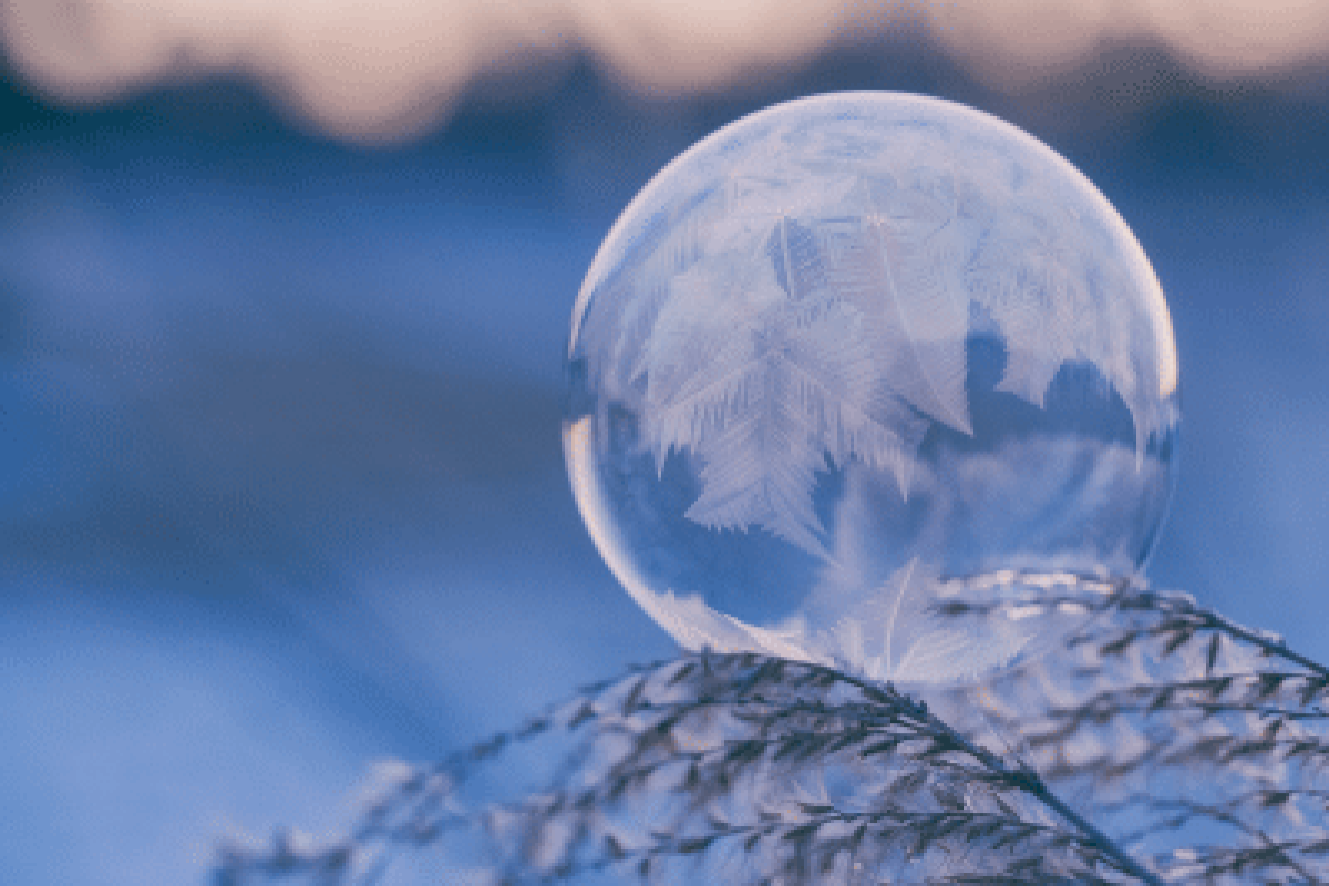 winter